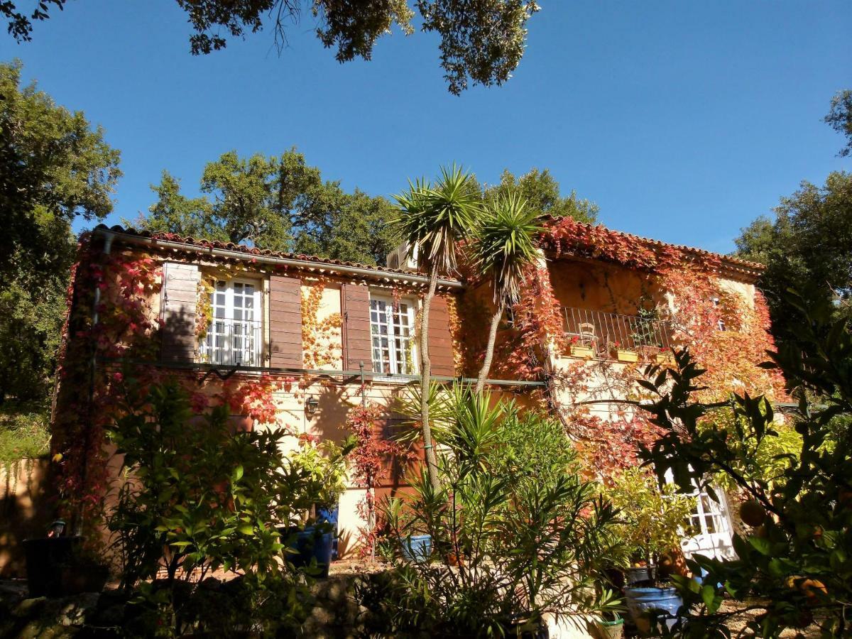 サント・マキシム Le Bastidon Saint-Michel Bed & Breakfast エクステリア 写真