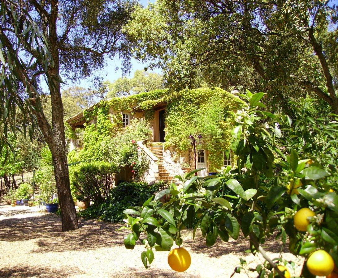 サント・マキシム Le Bastidon Saint-Michel Bed & Breakfast エクステリア 写真