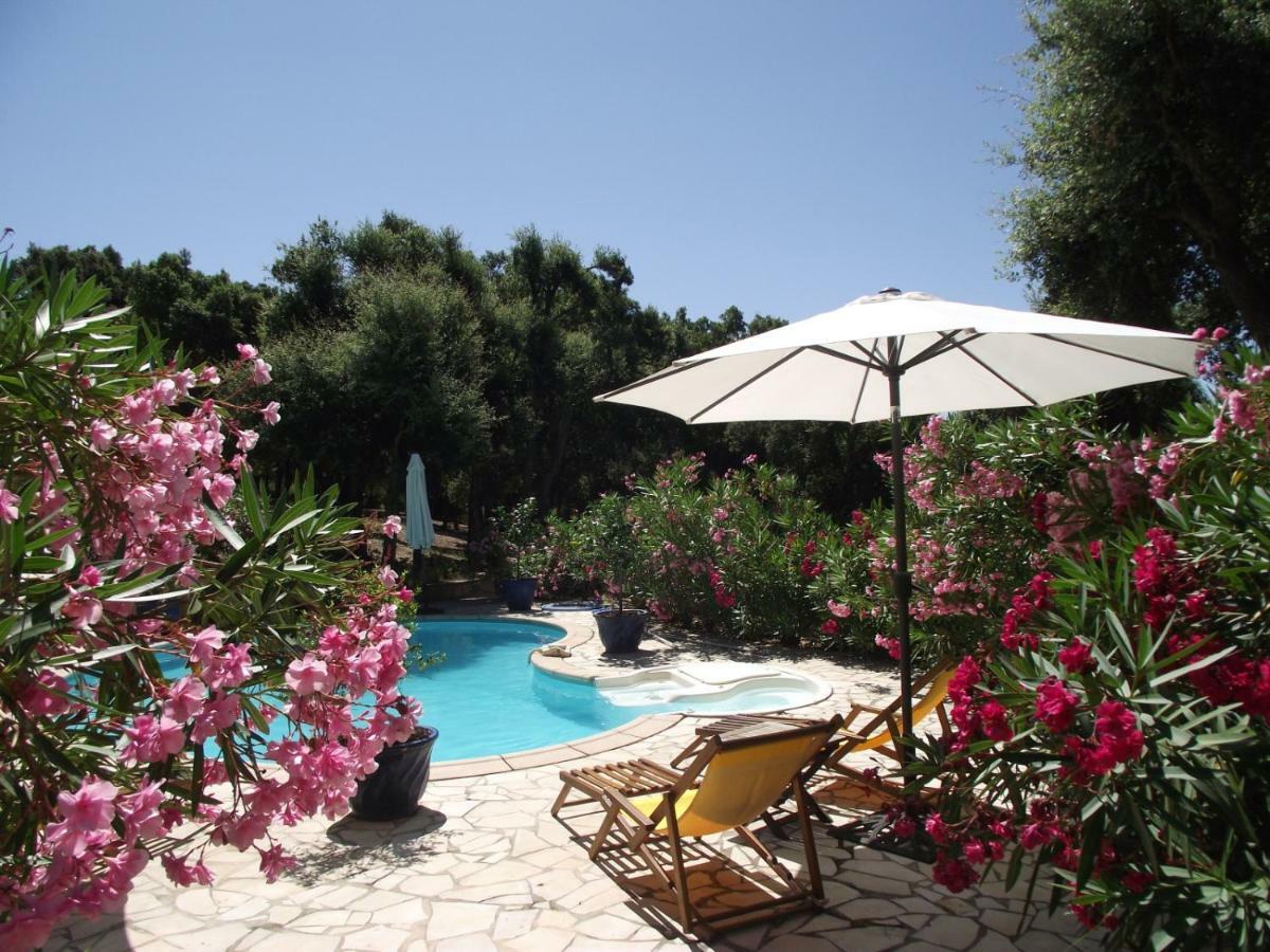 サント・マキシム Le Bastidon Saint-Michel Bed & Breakfast エクステリア 写真